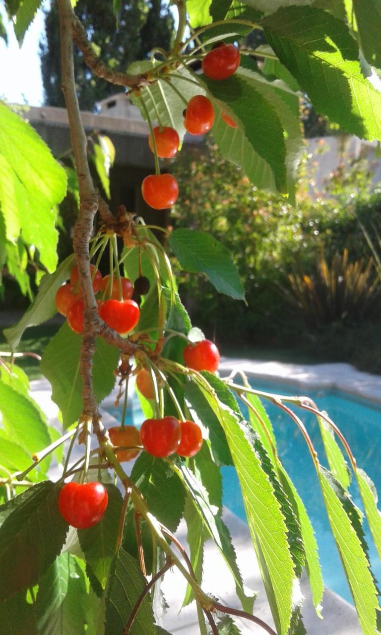 Casa Los Cerezos En Chacras De Coria Kültér fotó